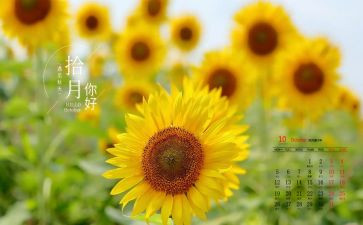 10月幼儿园小班工作总结7篇