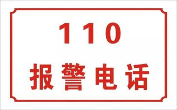 民意110调查报告6篇