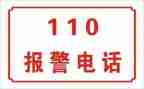 民意110调查报告6篇