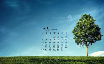 12月份中班月工作总结8篇