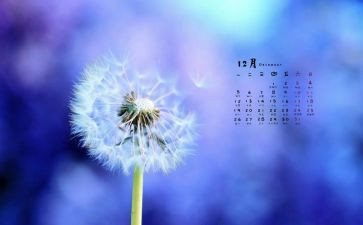 小班12月份工作总结5篇