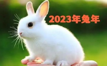 2023销售行业工作总结5篇