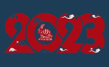 2023教师学年工作总结5篇