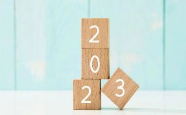 2023销售行业工作总结优秀5篇