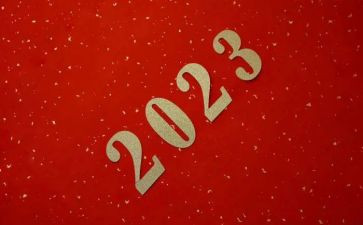 公司2023培训总结最新5篇