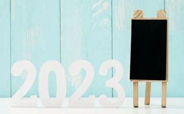 2023年小学教师个人年度考核总结范文精选8篇