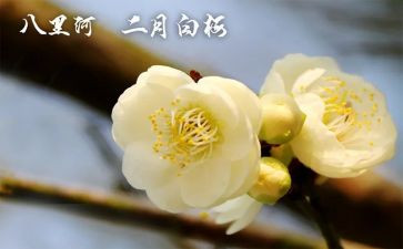 2024年2月工作计划6篇