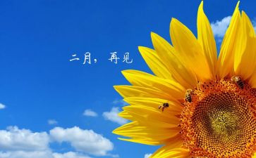 2月份工作总结最新8篇
