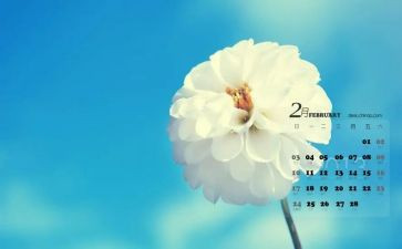 2月党日活动心得体会5篇