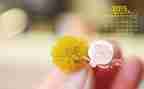 2月教育活动总结8篇