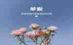 3月党日活动方案精选5篇