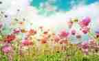 3月工作总结最新8篇