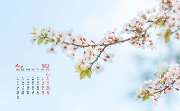 4月份讲话稿7篇