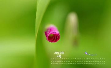 班级4月工作总结6篇