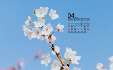 4月份工作心得体会6篇