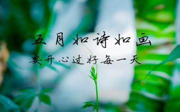 5月心得体会7篇
