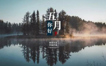 5月份工作心得体会5篇