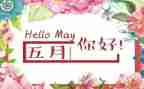 5月总结报告7篇