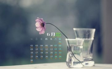 6月述职报告6篇