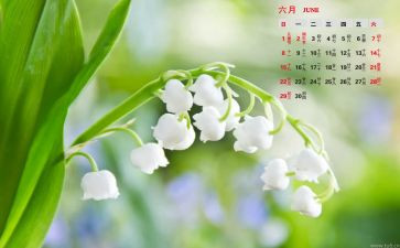 2024年6月工作总结最新6篇