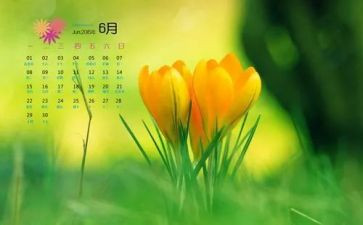 6月物业工作总结6篇