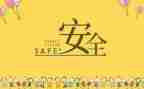 安全年活动总结6篇