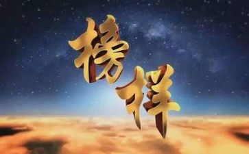 学榜样活动总结8篇