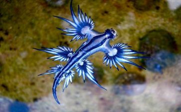 生物组教研工作计划6篇