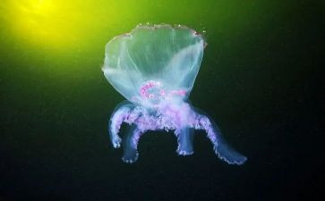 大学生物流实习总结7篇