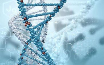 生物实验工作计划通用7篇