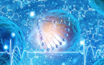 生物教师个人年度总结6篇