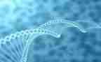 2024年高中生物工作计划7篇