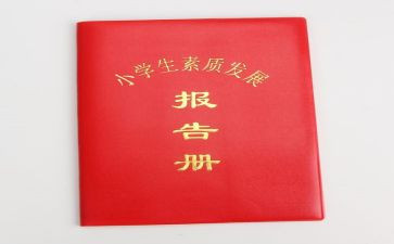 实践报告册模板通用6篇