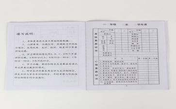 实践报告册模板精选8篇