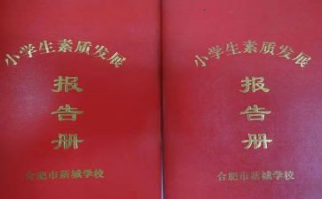 实践报告册模板7篇