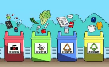 保护大森林的作文8篇