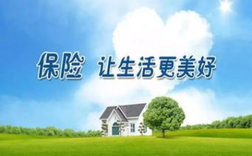 a类保险公司工作总结范文优秀6篇