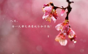 关于八月十五的作文6篇