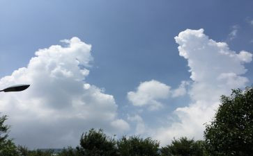 我家变化的作文推荐5篇