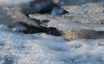 冰雪活动的心得体会8篇