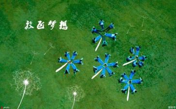 毕业生专业总结报告7篇