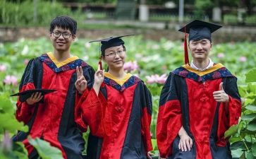 博后个人总结优质7篇