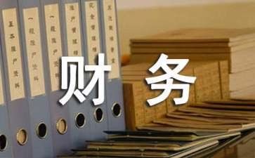 财务助理工作计划精选8篇