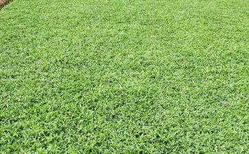 读草船借箭读后感模板6篇