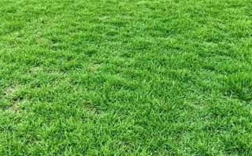 草原读后感5篇