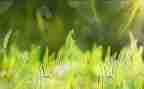 去草原读后感优质8篇