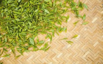 关于茶的优秀作文参考6篇