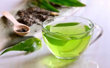 茶的心得体会优质6篇