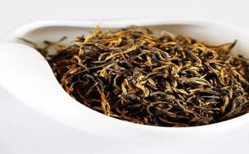 茶的培训总结7篇