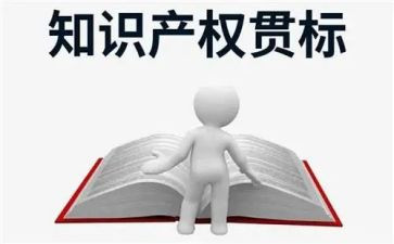 知识产权宣传活动总结模板7篇